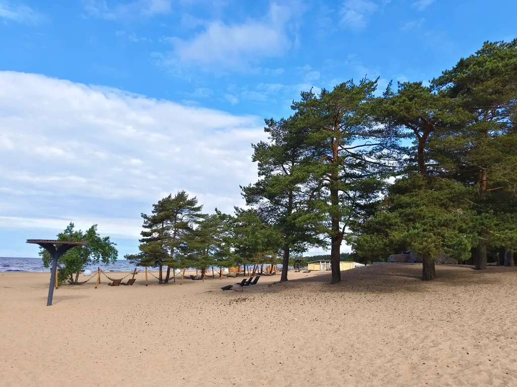 Коттедж Рядом с пляжем Финского залива Park Dream Country Cottage — Солнечное