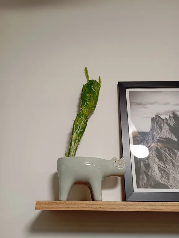 Уютная дизайнерская квартира-студия