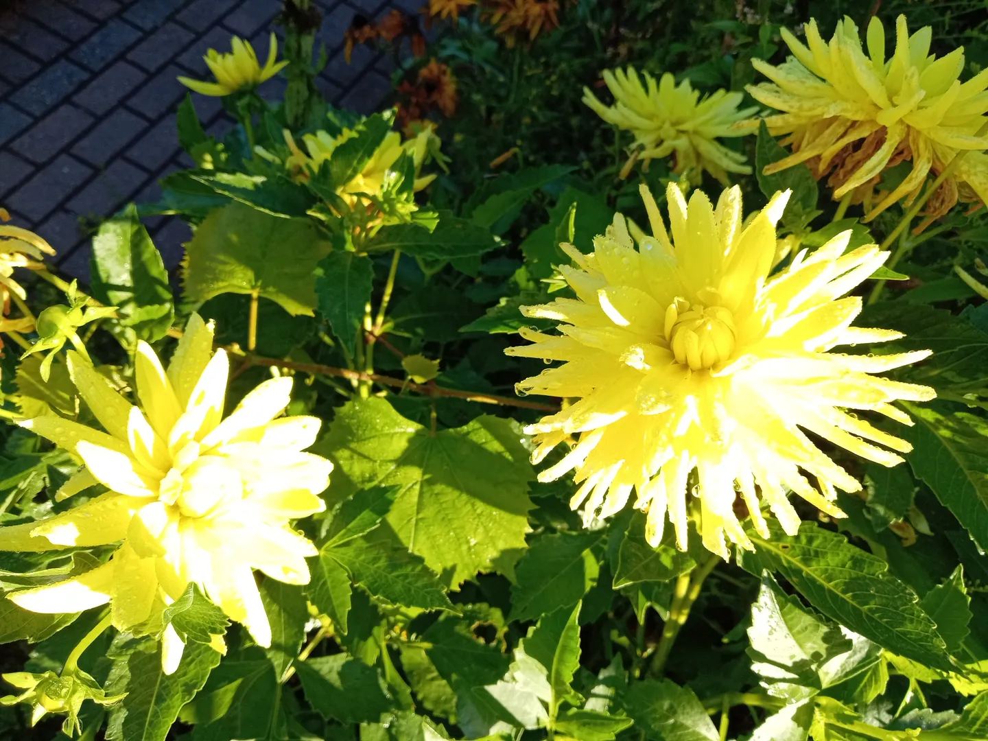 Фото