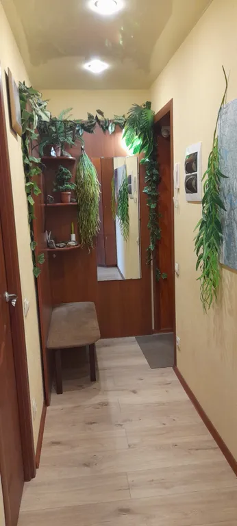 Квартира с видом на северное сияние