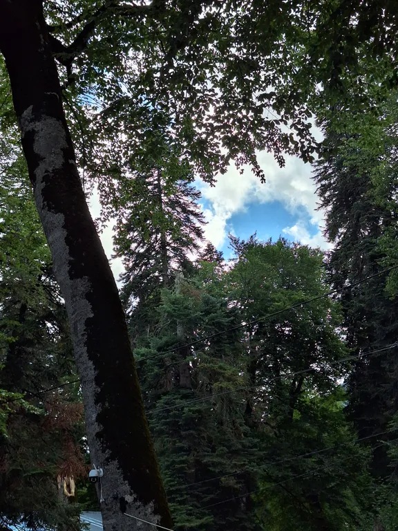 Коттедж Домики в лесу Hill Bee — Архыз