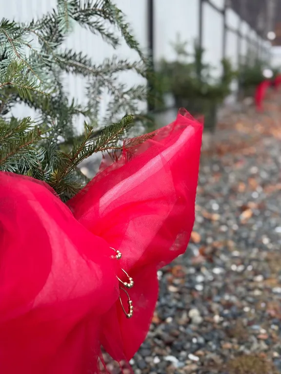 Коттедж 2-комнатный Дом — Архыз