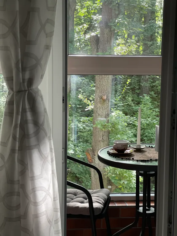 Квартира Квартира в сказочном Светлогорске с видом на лес под пение птиц — Светлогорск