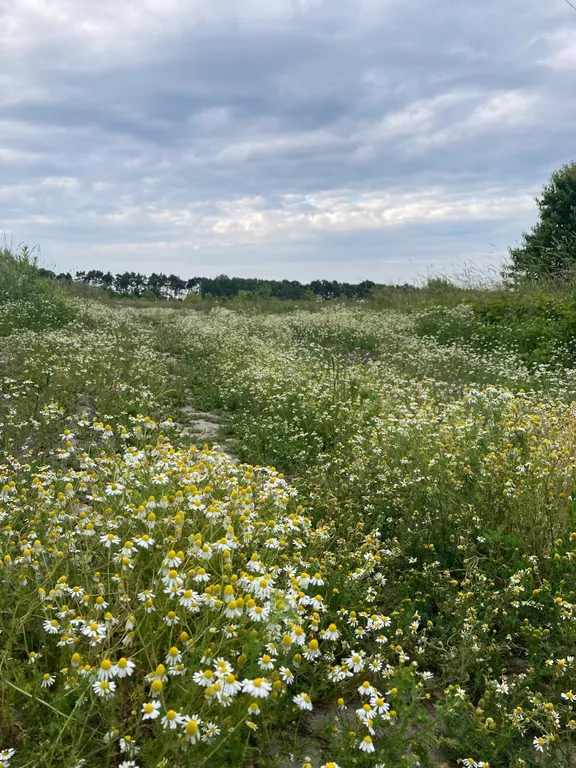 Дом с пляжем у моря