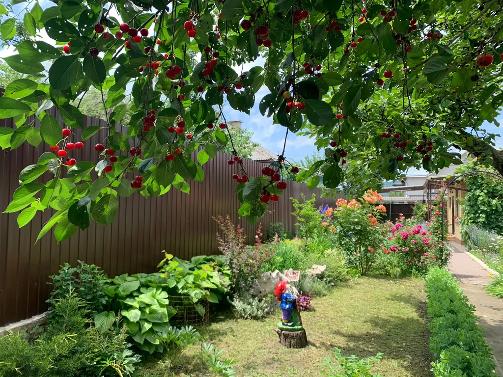 Коттедж Домик с цветущим садом — Кисловодск