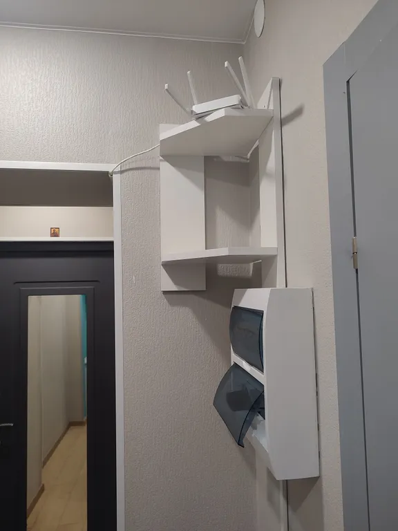 Студия в сосновом бору