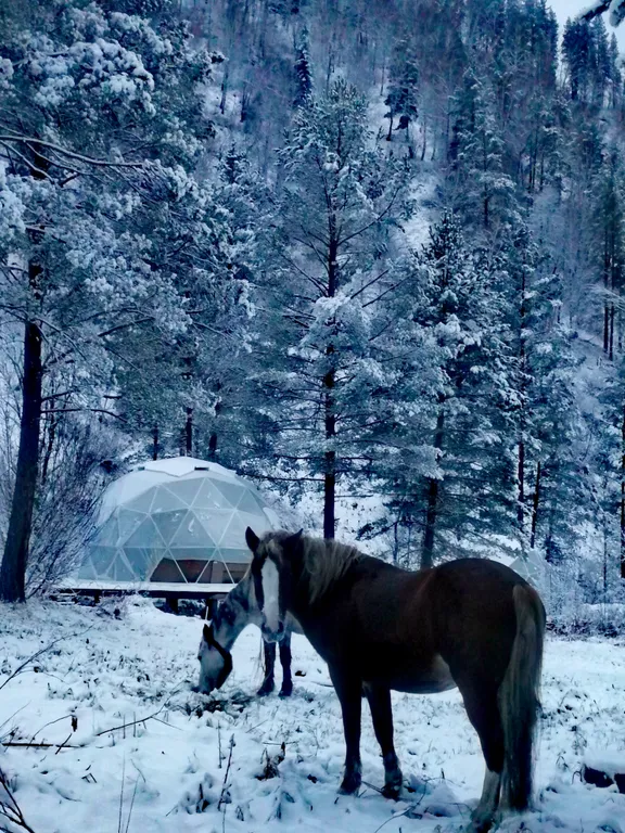 Шатер купольный в горах