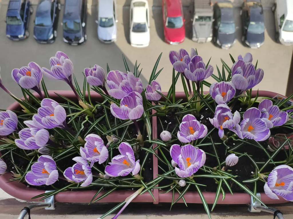 Квартира Апартаменты крокус в шикарным видом на озеро — Светлогорск