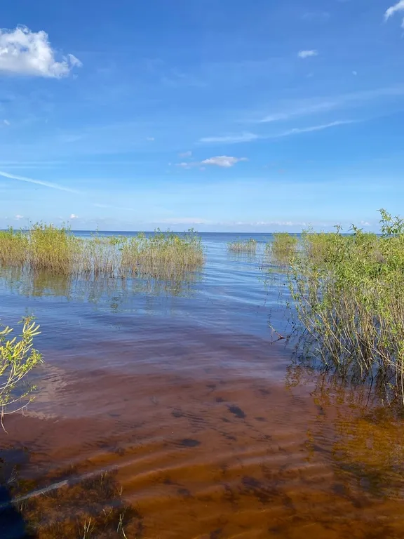 Дом на озере Ильмень