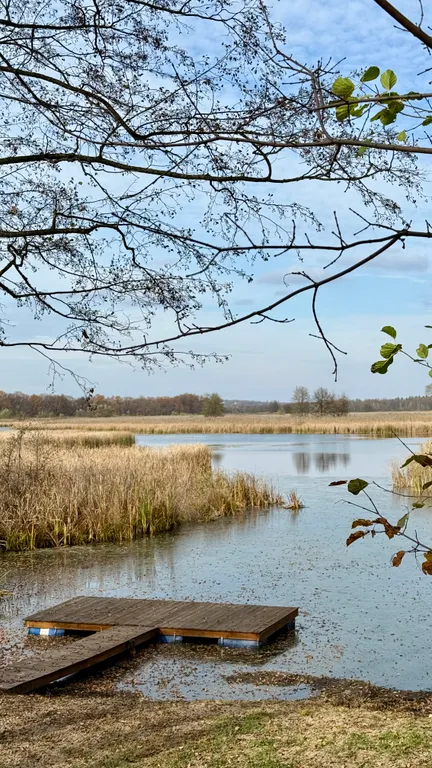 Уютный дом в лесу у озера вблизи от города