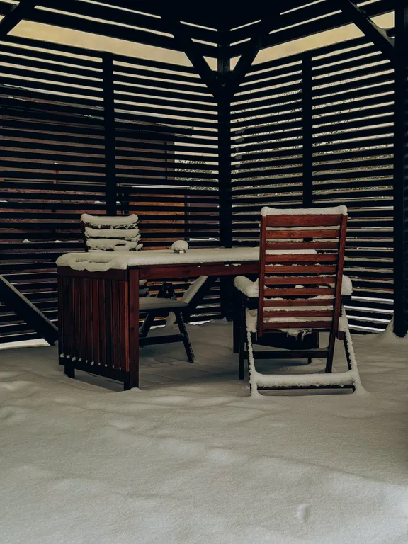 Дом с видом на лес