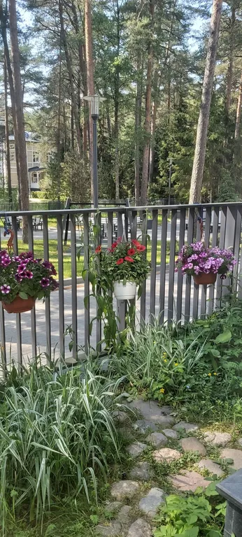 Апартаменты с террасой и камином в лесу рядом с Финским заливом