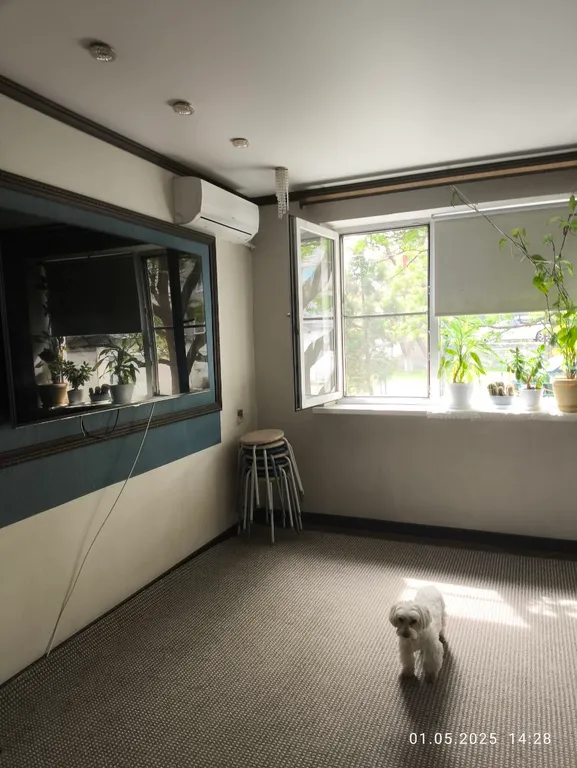 Квартира на первой линии от моря