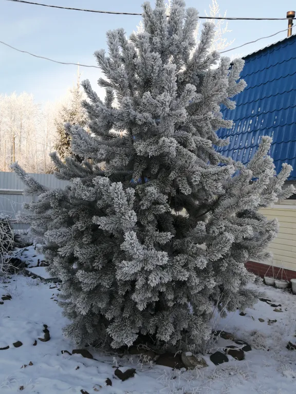 Квартира на Красной