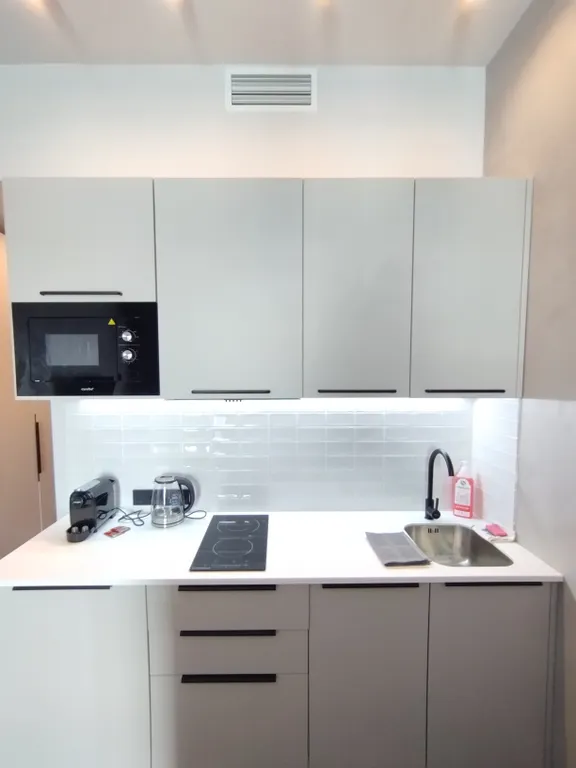 Квартира Апартаменты Vasilievsky Loft Studio 2 — Санкт-Петербург
