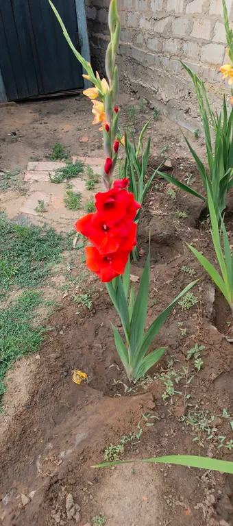 Частный дом недалеко от железнодорожного вокзала