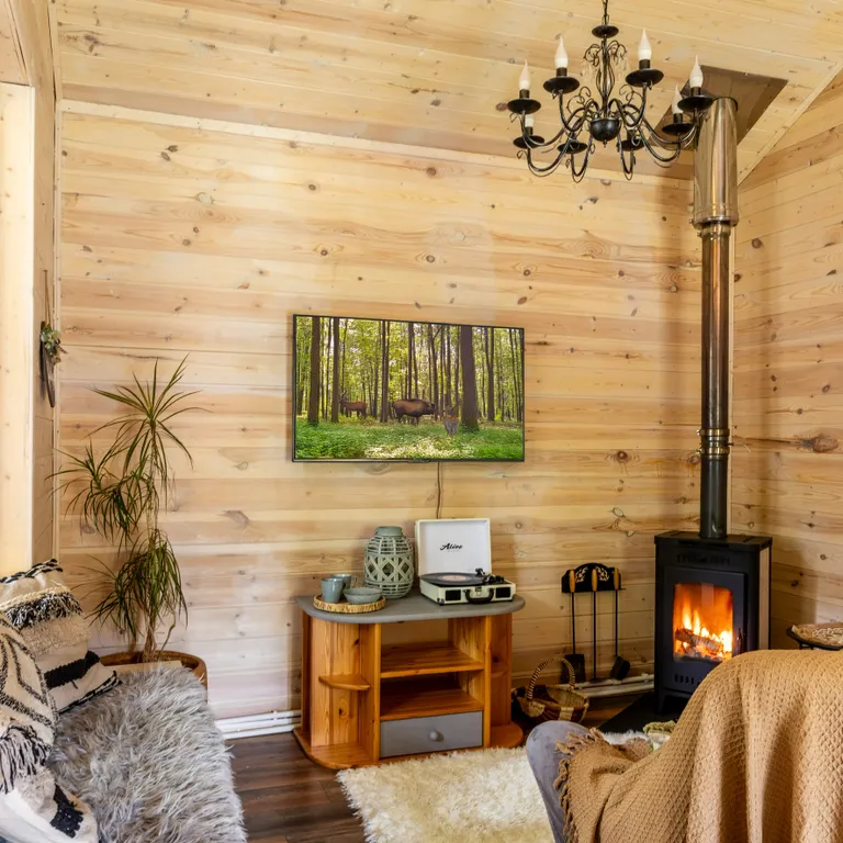 Дача с лесным характером, дровяным камином, сауной и банным чаном