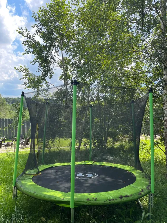 Дом на холме у леса