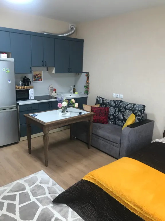 Апартамент в центре, парк им. Ленина