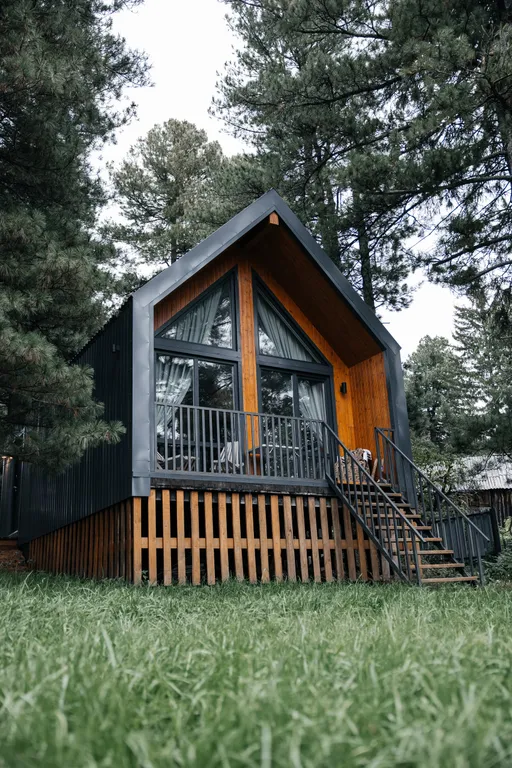 Уютный домик в кедровом лесу