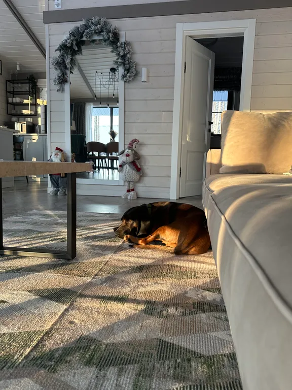 Коттедж в стиле шале в коприно