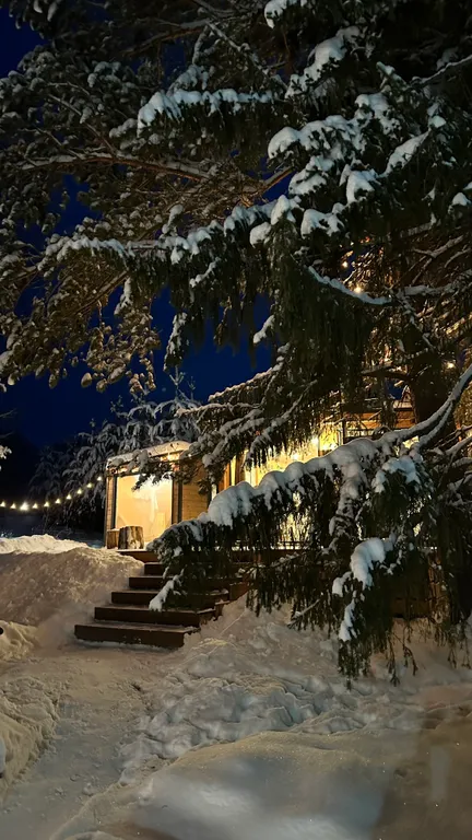 Дом в лесу с баней и чаном