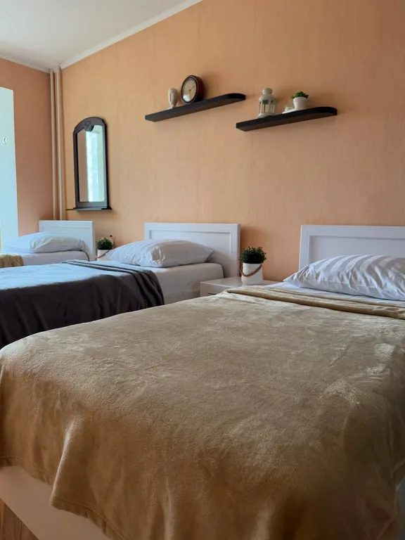 Просторная 3-комнатная квартира в тихом спальном районе