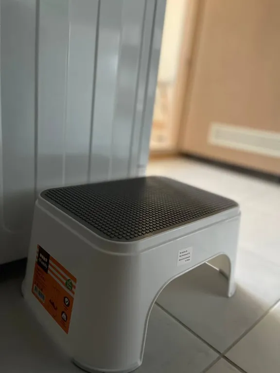 Студия чемпионов