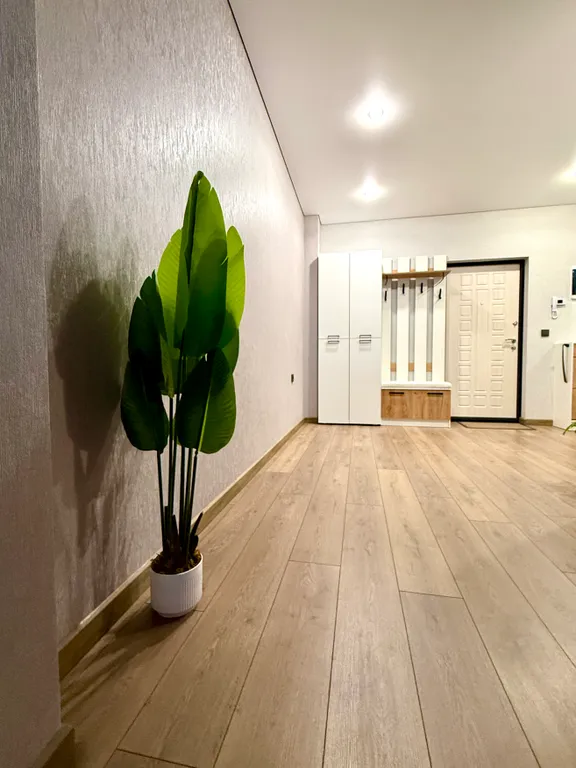 Новая квартира в центре города