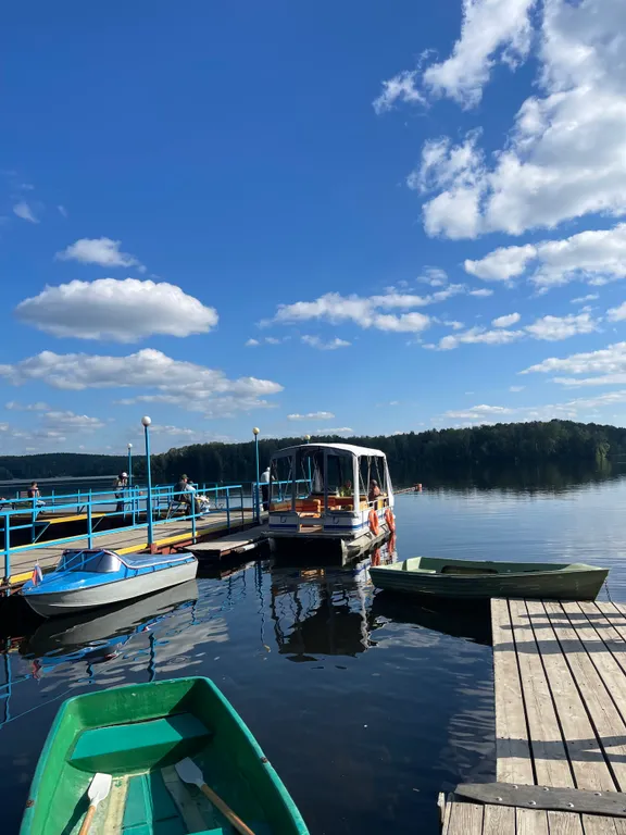 Апартамент в скандинавском парк-отеле Еловое