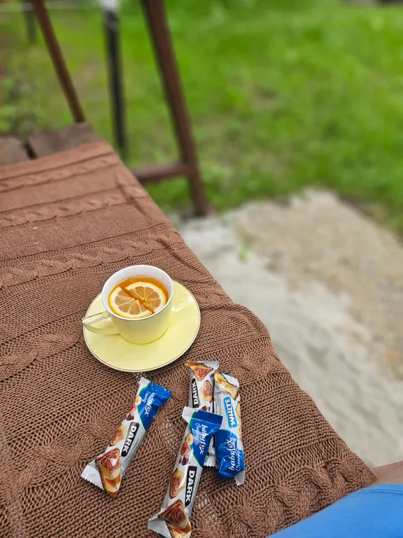 Загородный дом под соснами с сауной и чаном