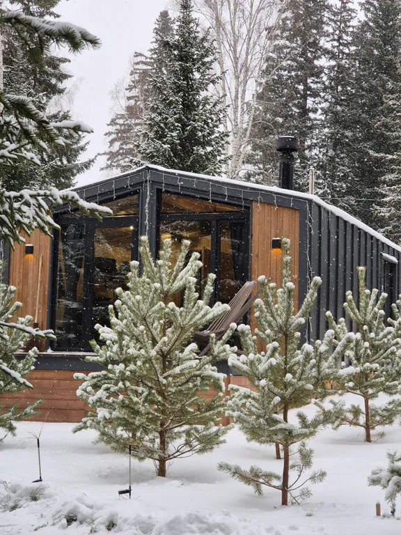 Коттедж Уютный домик с видом на лес с баней и купелью — аренда посуточно в Красноярск