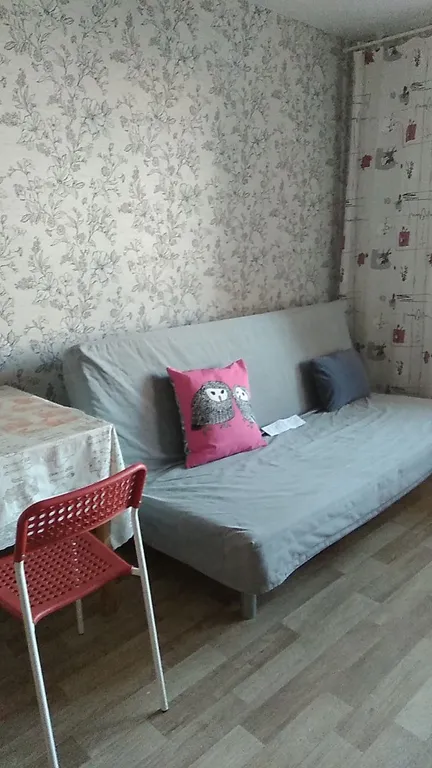 Студия в Рождествено (станция Снегири)