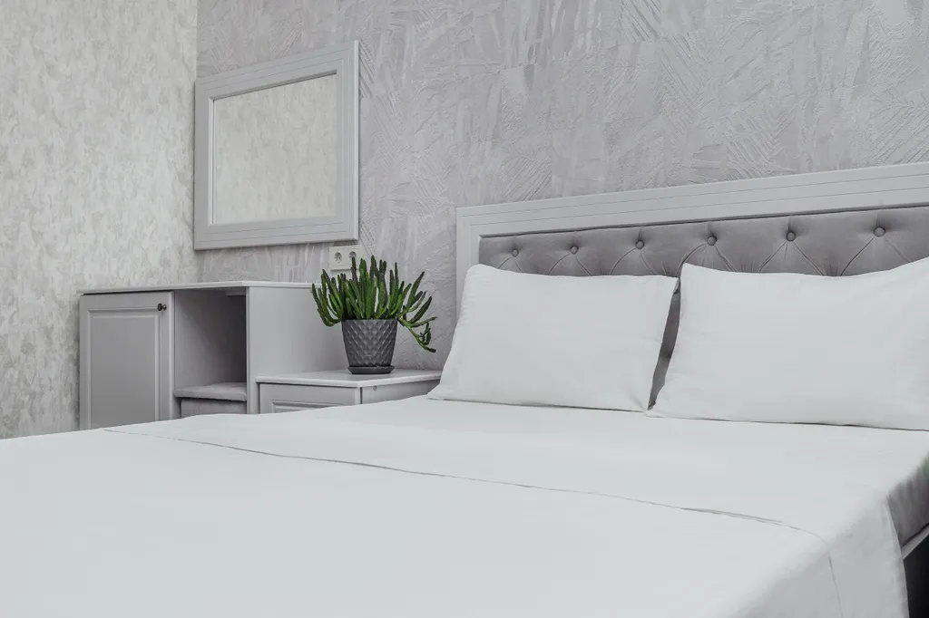 Квартира Комната — Сириус