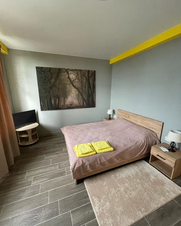 Двухместный номер с 1 кроватью стандарт 41