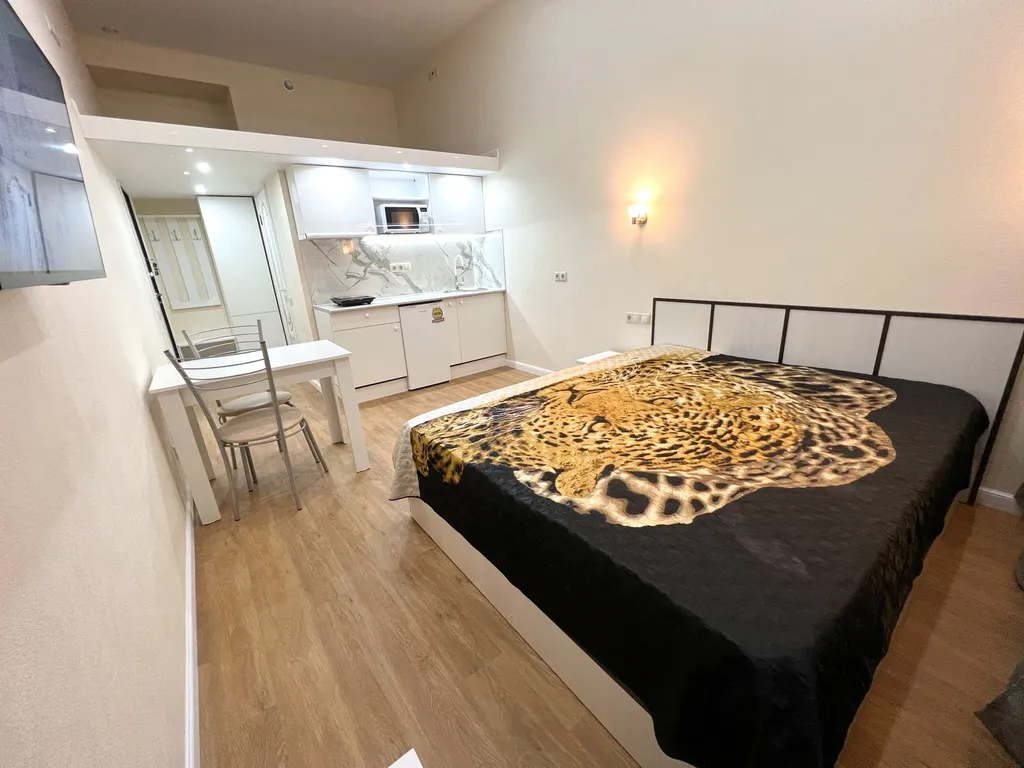 Комфортабельная студия