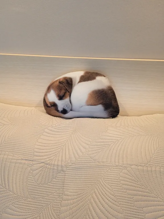 Квартира 1-комнатная квартира с кухней-гостинной в центре города — Ярославль