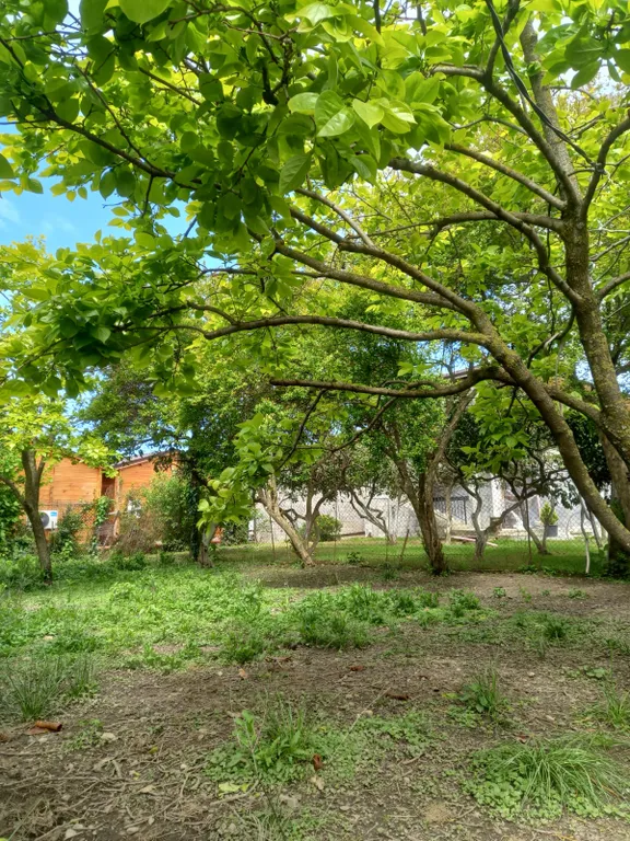 Квартира Комната — аренда посуточно в Алахадзы