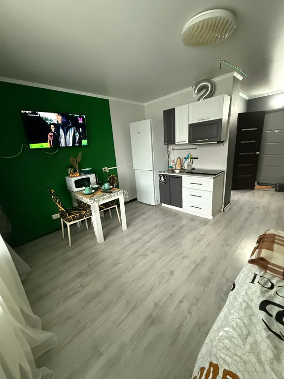 Уютная студия на Зеленом логе