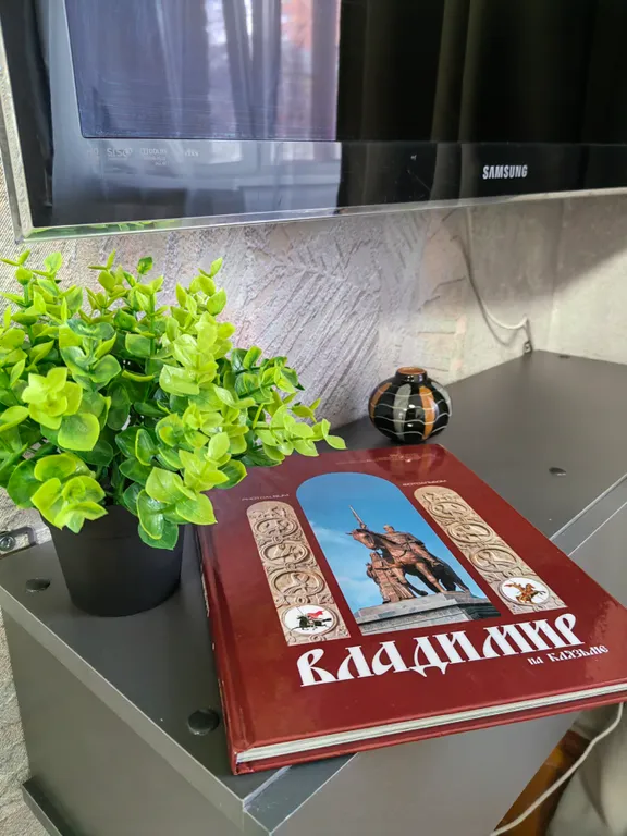 Симпатичные апартаменты в центре