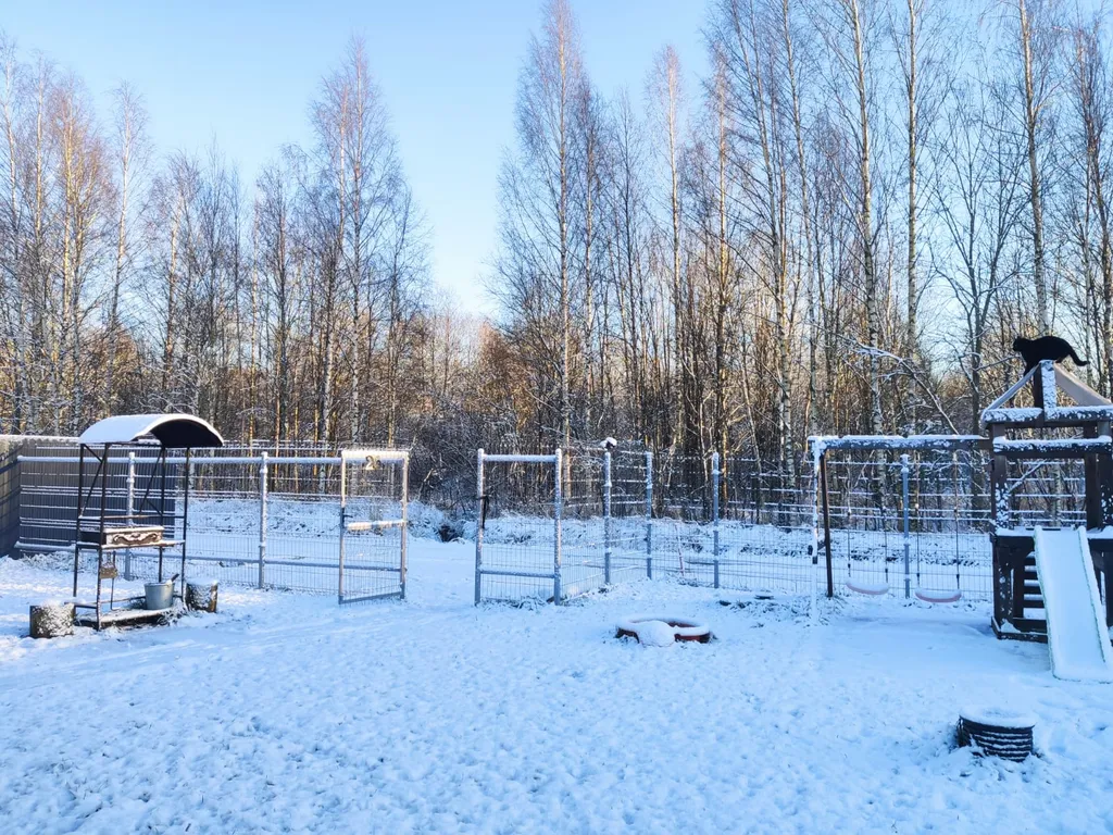 Панорамный коттедж с сауной у леcа