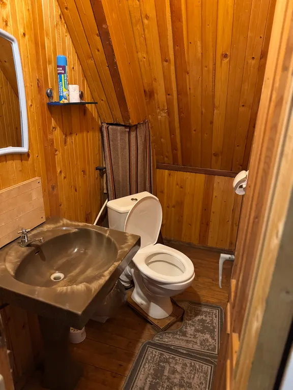 Ретро-дача с баней на берегу лесного озера