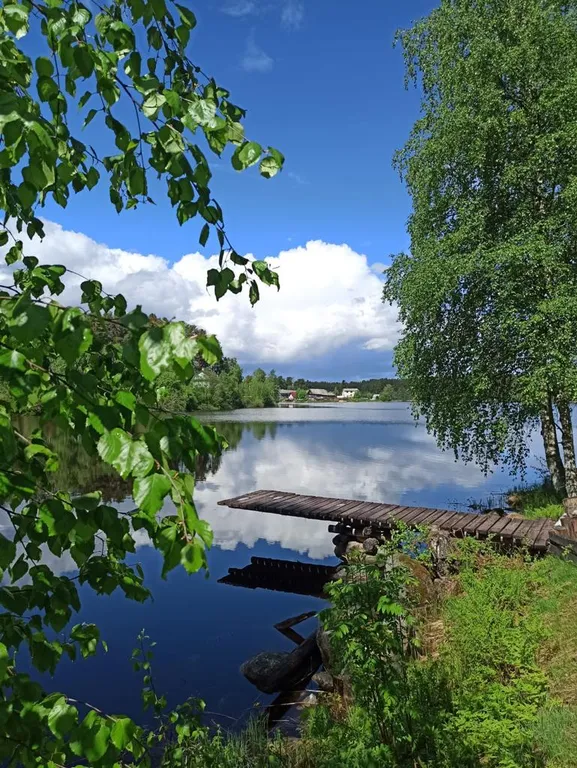 Уединенный комфортный дом-баня в сосновом бору