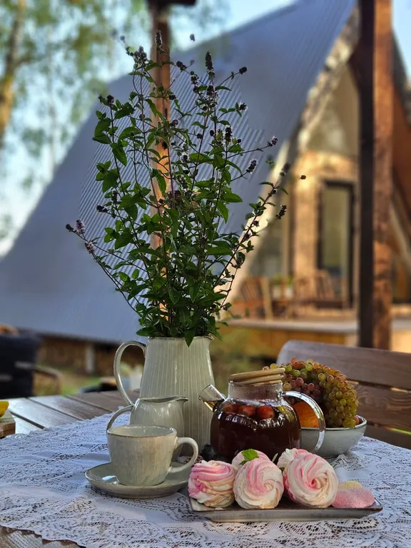 Красивые панорамные домики около леса