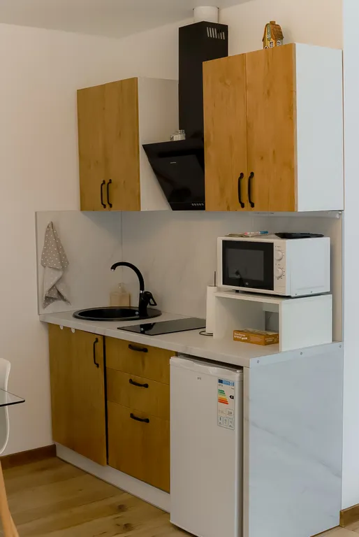 Квартира Квартира Студия с выходом на лужайку — Светлогорск