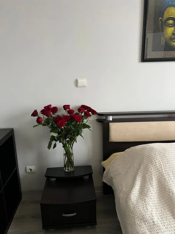 Квартира Толстой. Апартаменты с историей — Москва