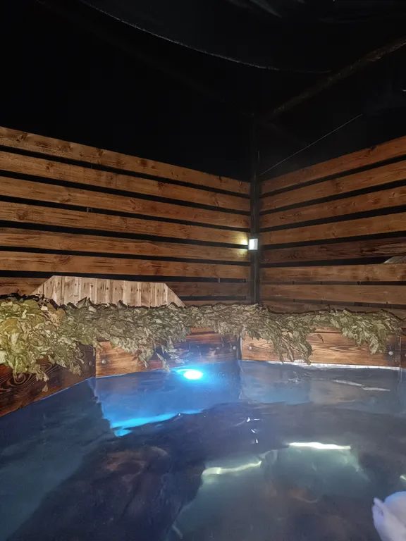 Коттедж Гостевой дом с русской баней и уличной купелью — Кириши