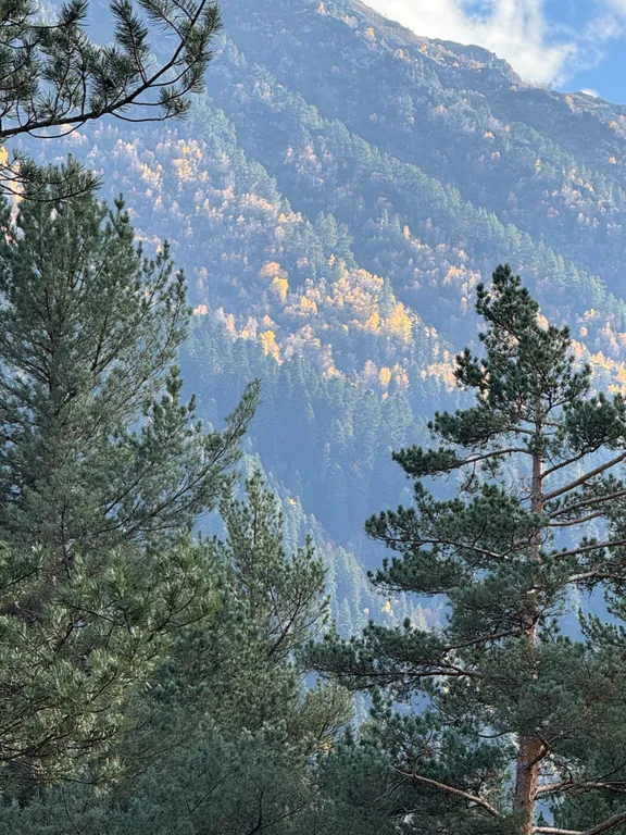 Коттедж в лесу рядом с рекой