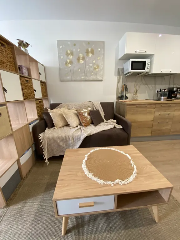 Студия в стиле Сканди с видом на Кремль