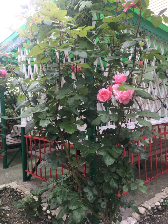 Коттедж у моря